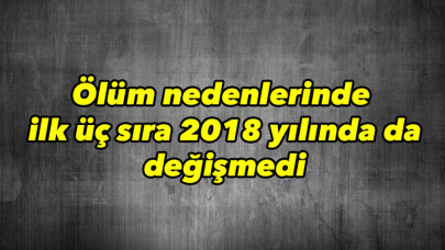 Dolaşım sistemi hastalıklarından kaynaklı ölümler, 161 bin 920 oldu. 