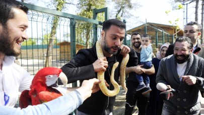 Alişanın Yılanla İmtihanı