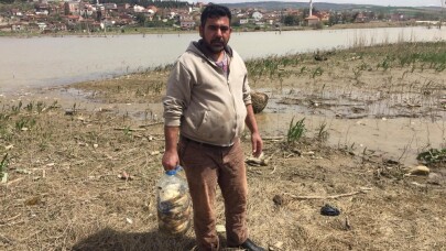 Bursa’da on binlerce balık kıyıya vurdu