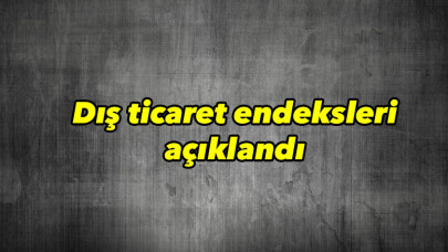 Dış ticaret endeksleri açıklandı