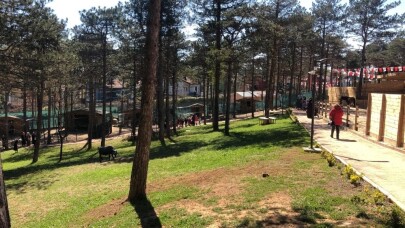 Geniş arazi içinde kamp, doğa ve binicilik imkanları bir arada sunuluyor