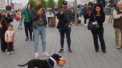 (Özel) Taksim’de hünerlerini sergileyen köpek, vatandaşların ilgi odağı oldu