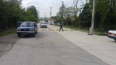 Sapanca sokaklarına bahar bakımı