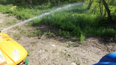 Sapanca’da larva ilaçlamaları başladı