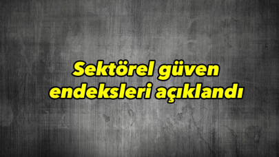Sektörel güven endeksleri açıklandı 