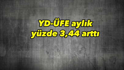 YD-ÜFE aylık yüzde 3,44 arttı 