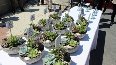 Büyükçekemece’de ‘1001’ zeytin ağacı fidanı dikildi