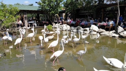 "Flamingolu Köy" Anneler Günü’nde ziyaretçi akınına uğradı