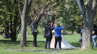 (Özel Haber) Albüm için ağaçların çiçeklerini döktüler