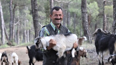 (Özel)Bu çiftin evi 32 yıldır ormanlar