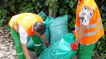 Sapanca’da çevre temizlik çalışmaları devam ediyor