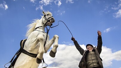 Şenliklerin en güzel kareleri belli oldu