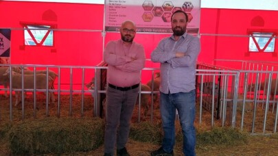 Yenişehir küçükbaş hayvancılık fuarının gözdesi oldu