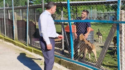 Başkan Özen, hayvan barınağını ziyaret etti