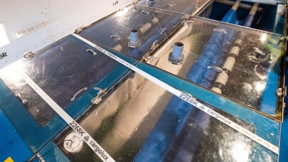 Beluga balinaları izlanda’ya vardı
