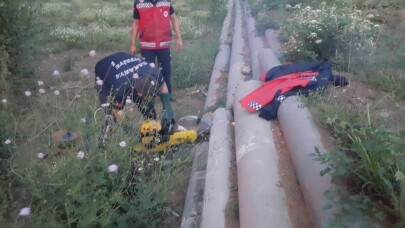 Beton borunun içine sıkışan köpeği itfaiye ekipleri kurtardı