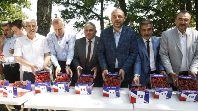 Çilek festivali büyük ilgi gördü