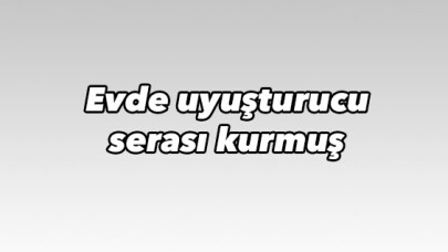 Evde uyuşturucu serası kurdu