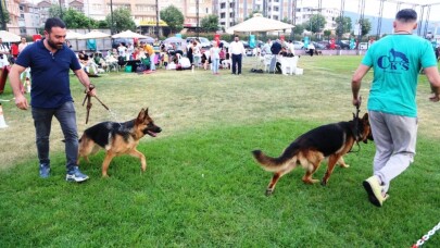 Farklı köpek ırkları Nilüfer’de buluştu