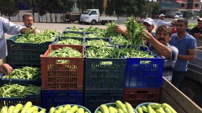 Fasulye altın çağını yaşıyor