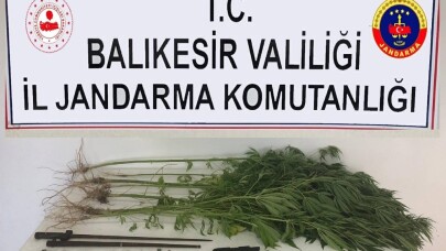 Gömeç’te jandarmadan uyuşturucu ve tarihi eser operasyonu