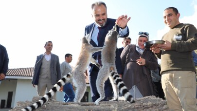Hayvanat Bahçesi’nde bayram rekoru