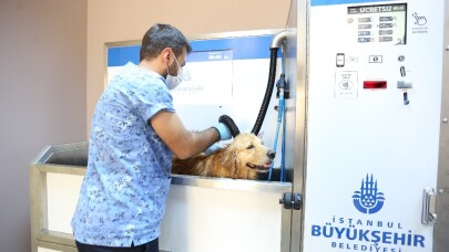 İBB DuşPet hizmetini yaygınlaştırıyor