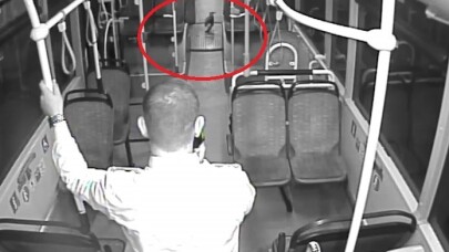 Kocaeli’de otobüs sürücüleri, yola düşen yaralı martı ve karganın hayatını kurtardı