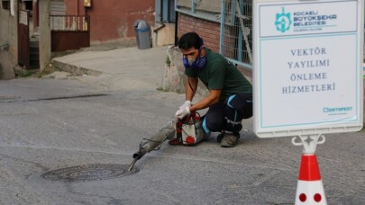 Kocaeli’de vektörle mücadele çalışmaları sürüyor