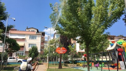 Körfez’de tırtılla mücadele sürüyor