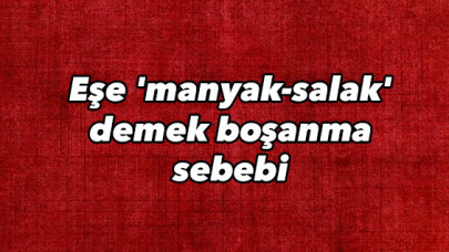 Eşe 'manyak-salak' demek boşanma sebebi 