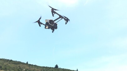 (Özel) Bursa kestanesi drone ile korunacak