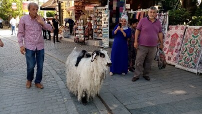 (Özel) Yanından ayırmadığı keçisiyle evcilleştirdiği kargaları arkadaş oldu
