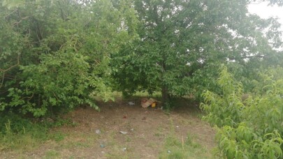 Piknik yaparken üzerine yıldırım düştü