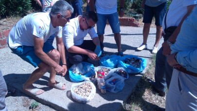 Burhaniye’de mavi bayraklı Ören plajında çevre temizliği yapıldı