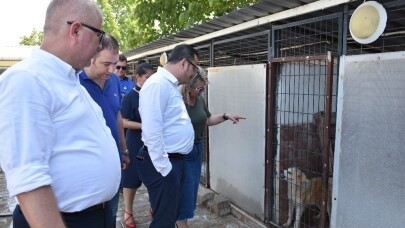 Hayvanseverler barınakta buluşuyor