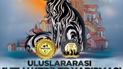 İstanbul Uluslararası Kedi Güzellik Yarışması 31 Ekim’de
