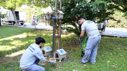 Küçükçekmece’de sokak hayvanları unutulmuyor