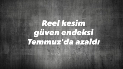 Reel kesim güven endeksi Temmuz'da azaldı 