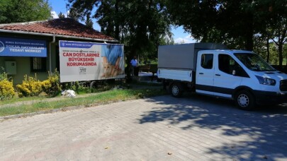 Sahipsiz sokak hayvanları kısırlaştırıldı