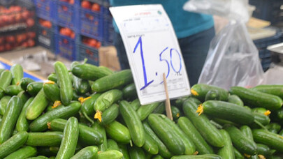 Salatalık tarlada 30 kuruş pazarda 1,5 lira 