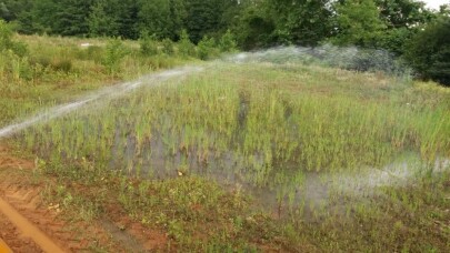 Sapanca’da ilaçlama çalışmaları aralıksız devam ediyor