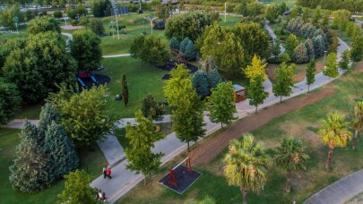 Büyükşehir 15 yılda 100 bin çınar ağacı dikti