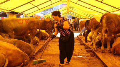 Küçükçekmece kurban pazarının tek kadın besicisi