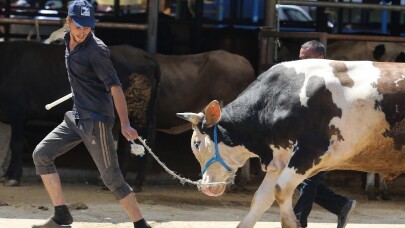 Kurban pazarında hareketlilik havadan görüntülendi