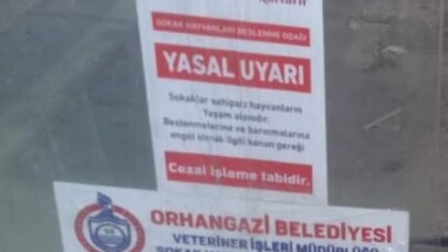 Orhangazi’de sokak hayvanları sahipsiz değil