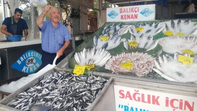 Balıkçı Kenan Balcı: "Palamutun az olmasının nedeni, havaların sıcak olması"