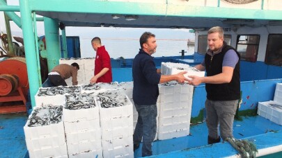 Hamsi’nin kilosu 15 liraya geriledi