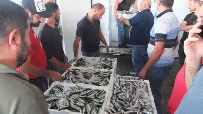 Kasa kasa geliyor, kilo kilo satılıyor