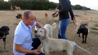(ÖZEL) Çatalca’da köpeklerin ormana terk edilmesine hayvanseverlerden tepki